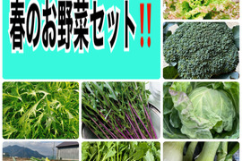 暑くなって来たのでクール便‼️新玉ねぎ入り‼️新鮮お野菜セット✨