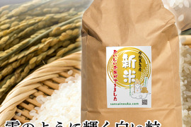 【新米】雪若丸9.8キロ令和5年産白米　甘味のある新食感！限定特価！