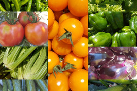 【農薬化学肥料不使用】朝採り！信州伊那谷★旬の野菜セット Ｓサイズ