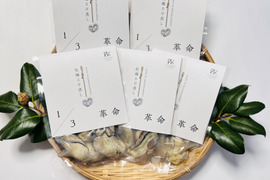 1/3革命｜南三陸産 牡蠣のさけ蒸し600g　ぷりぷり濃厚・簡単ごちそう