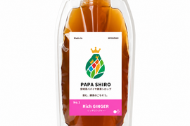 パパイア王子 宮崎パパイア酵素シロップ ジンジャー シロップ 150ml 希釈ドリンク 酵素 青パパイヤ スーパーフード パパイン酵素 日本産 ポリフェノール パパイヤ