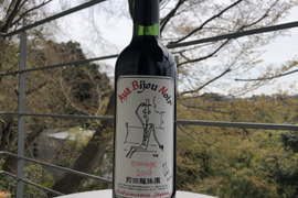🍷赤【本格的樽熟成】642本限定　日本の赤ワインのイメージを一新するビジュノアール　山梨県勝沼産ぶどう