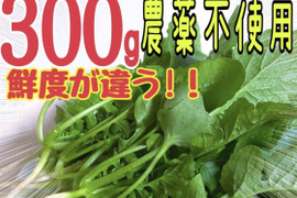 300gの栄養たっぷりな大根葉