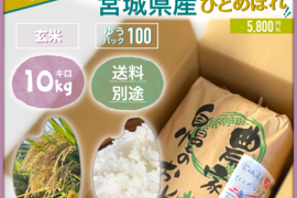 【新米】宮城県白石市産ひとめぼれ 自然乾燥米 10kg