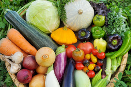 【肥料農薬不使用天然水栽培】
MAMORUセット　エゾリス便 S