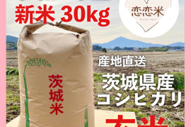 Amazon.co.jp: 新米 お米30キロ 令和6年産 茨城県産 コシヒカリ