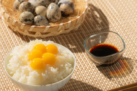 【期間限定初物】若鳥の産んだ初産みうずらの卵100個(冷蔵便）