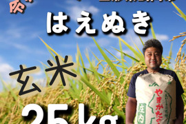 令和8年産　庄内米｢はえぬき｣　玄米25㎏　山形県鶴岡市産