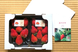 【紅ほっぺ】土耕・完熟で濃い味！静岡の人気品種・甘みと酸味のバランス★2パック（約550g）