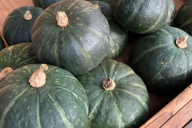 農薬化学肥料不使用＊かぼちゃ＊ミニかぼちゃ＊5kg