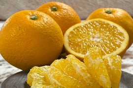 シャキプリッ♪和歌山の甘酸っぱい八朔 5kg