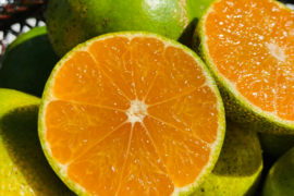 農薬・肥料不使用｜自然栽培 極早生みかん ５kg（人氣サイズ）【食べチョク限定・小玉みかん増量】