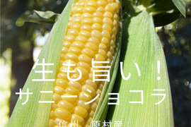 2025年【9月】発送　生も旨い！サニーショコラ4本入