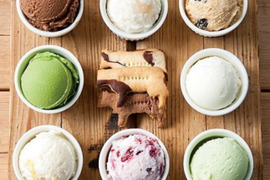 【牛飼いの手作り】搾りたてミルクのジェラートアイス（１２個セット）