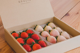 希少ゆきざくら　『紅白イチゴセット』　250g×2p　【いちご食べ比べ】