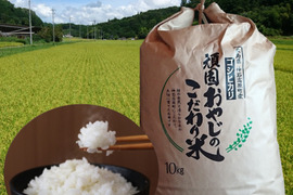 コシヒカリ 玄米10kg 令和4年 広島県神石高原町産