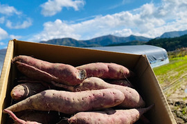 栽培期間中農薬不使用、有機肥料『紅あずま』5kg