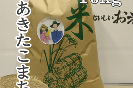 期間限定値下げ秋田産　令和7産あきたこまち　白米　10kg