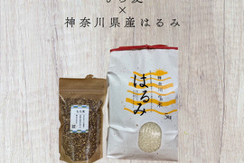 【お米セット】紫もち麦とお米5kg