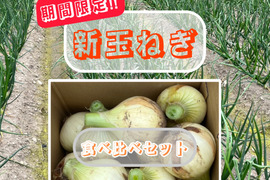 【予約販売】「淡路島の新玉ねぎ」食べ比べセット（七宝・ボルト）3kg（サイズ混合）