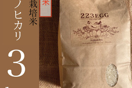 ＜玄米＞特別栽培米「ヒノヒカリ」[ 3㎏ ]【令和5年米】