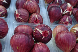 樹上完熟！朝採り！和歌山県産いちじく 2箱（500g×8P）