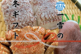 【冬ギフト】数量限定！！一雪の冬ギフト②　のし対応あり！