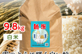【令和6年新米】雪若丸9.8キロ白米　大粒甘みのある新食感！