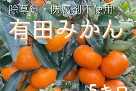 完熟濃厚！ こだわり 有田みかん 5kg 和歌山産