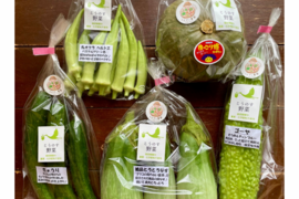 濃甘！野菜セット3種類 農薬・化学肥料不使用♪個包装