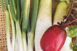 化学肥料•農薬不使用のねぎ•大根セット（ねぎ２種•大根２種）ねぎ5本以上、大根2本以上、合計４Kg以上
