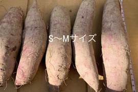 さつまいも【紅はるか】S～Mサイズ 4.5kg