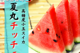 「旬の小玉西瓜 4玉入り」小玉スイカ すいか 家庭用 秋田県産 小玉すいか フレッシュスイカ 夏の風物詩 ギフト お中元 夏丸 4玉入り 暑中見舞い 小玉西瓜