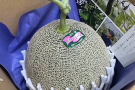 【激選】肥後グリーン！熊本県産糖度16度超えメロン　2個入り　4.0kg~5.0kg
