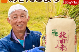 3「作り手の顔が見えるお米」秋田県産あきたこまち玄米30ｋｇ(令和7年産)