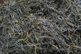 煎茶（2026） やぶきた 新茶 加茂自然農園のお茶　農薬・肥料不使用　緑茶
