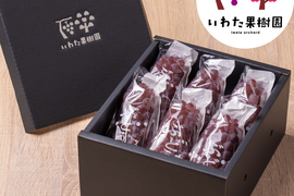 2026年＼8月上旬発送／山形県高畠町産種なしデラウェア約1㎏