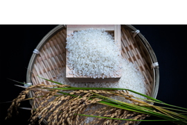 新潟県産,みずほの輝き,和泉,10kg,令和7年新米,【受注後精米・農家直売】