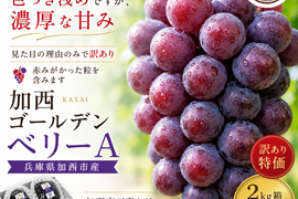 【訳あり】色づき浅めですが濃厚な甘み！加西ゴールデンベリーA【2kg】