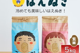 山形県産　はえぬき　玄米　10kg