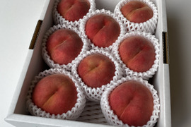 やまがた紅王】🍒1キロ🍒【2Lサイズ以上】【さくらんぼ】【話題の新