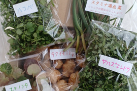 おまけ付き⭐キクイモ1キロとニンニクの葉と美味しい野草山菜などのセットコンパクト便
