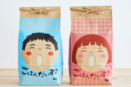 山形県産　はえぬき　無洗米　4kg