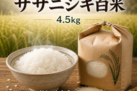 栽培期間中農薬不使用!! 京丹後産『ササニシキ』白米4.5kg