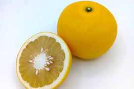 ビッグで上品な甘み！『パール柑』【4.5kg】