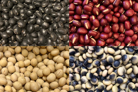 ４種食べ比べ🫘小豆＋黒豆＋鶴の子大豆＋くらかけ豆（4種✕200g＝800g）★北海道産★農薬化学肥料･除草剤不使用🫘☺️メール便📨
