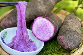 【常温保存30日可】強い粘りとやさしい甘み！旬の紫やまいも（2kg）【紫山芋】