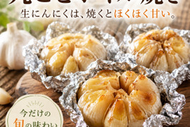 5月までの注文限定！にんにくの“本気”、今年は生で！埼玉県産福地ホワイト『生にんにく』　20玉