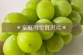 シャインマスカット 　家庭用 約1.8kg (3-4房)