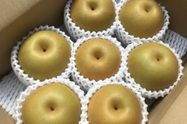 豊水梨（小箱）袋掛け栽培【秀品】天空の村よりお届け♫